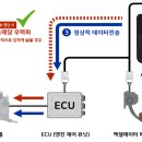 개인화물18
