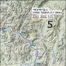 낙동강자전거길6 이미지