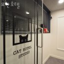 아림유치원 | 서울 강서구 애견호텔 묘한호텔 비용 시간 위치