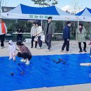 대흥민속 이미지