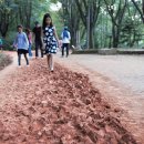 에코 힐링 하우스 2 이미지