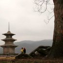 문무약국 이미지