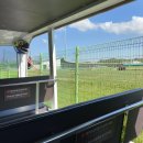 스카이72 골프연습장 이미지