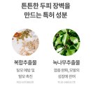 투오씨 이미지