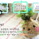옥포초등학교병설유치원 이미지