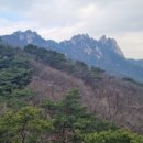 제이엠자산관리