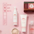 투쿨포스쿨 동행미디어 시대