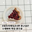 원주율 | 대전 파이맛집 찾았다! 탄방동카페 원주율 솔직후기