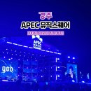 다수곡 | 2025 경주 봉황대 APEC 뮤직스퀘어 공연 후기 (다비치, 지오디 영상 다수)