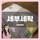 제이파크세탁 | 세부여행 제이파크리조트 세탁 맡기기