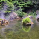 미르조경