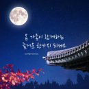 용인대 월드 태권도장 이미지