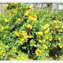 펜션클로버 이미지