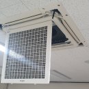 아지파파 이미지