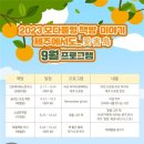 이야기책방