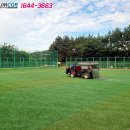 장산 축구장 이미지