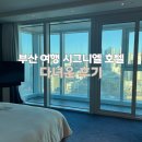 부산시티호텔 | 부산 시그니엘 호텔 프리미어 시티뷰 다녀온 후기