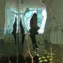 A340 | 일상을 곁들인 후지필름 finepix A340