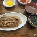 박정표밀알모밀 이미지