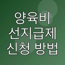 성은어린이집 | 양육비 선지급제 신청 방법 및 조건 서류 후기 금액