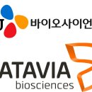 바타비아