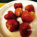 T DC마트 이미지