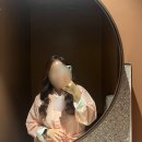 서정헤어 | 헤어변형 아름하다 바이서정 스튜디오 촬영 솔직후기