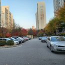 이화햇살약국 이미지