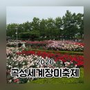나영음식점 | 2026 곡성세계장미축제 일정 주차 가수라인업 먹거리