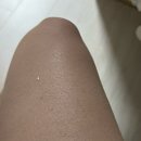 88사우나 | 저렴한 가정용 건식 사우나 찐 후기, 에버조이 내돈내산
