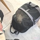 아이존 | [성장앨범] 반려견과 같이 촬영한 50일 촬영 후기,<전주 아이존 스튜디오>