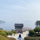남해-141 | 마산 벚꽃 숨은 명소, 바다와 꽃이 만나는 장수암 벚꽃 여행 후기