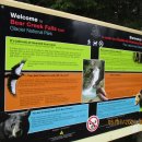 Bear Creek Falls Trail, Glacier National Park 이미지