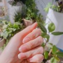 부천네일 손끝꽃 여름 오로라네일 후기 송내네일여름네일 추천