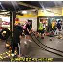 성산효권투체육관 이미지