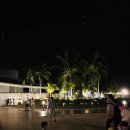 CRANE WORLD 이미지