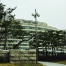 더케이에델바이스 이미지