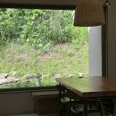 잔원유림 이미지