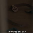 모범낚시