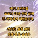 강한 태권도 이미지