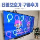 TV 티비액정보호기 사고뭉치 아들맘 필수템 아이오랩스 찐 후기