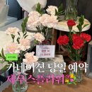 어버이날 특별기획 <오방神과-스팽글> | [대구/꽃집] 어버이날 카네이션 당일 예약 가능한 동성로 제우스플라워 동성로점