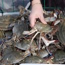 서망항1 이미지