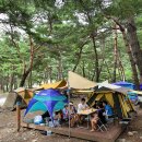 정선 국민여가캠핑장 이미지