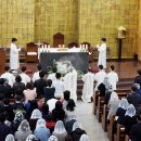 모심-2019 이미지