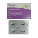 열린동물약국 이미지