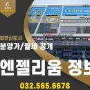 엔젤리움부동산공인중개사사무소 이미지