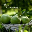 넌나의선물
