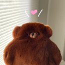 루 - 진주시 강변길10번길 6 | 루