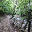 곰배령끝집 이미지